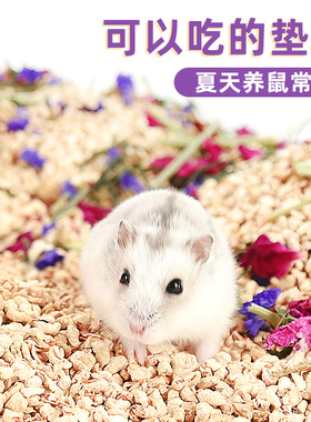 仓鼠玉米芯垫料金丝熊吸水垫料夏天季专用纸粒木屑尿砂花枝鼠用品
