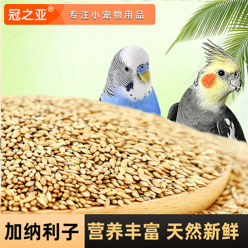 加纳利子金丝雀玄凤虎皮抗寒鸟粮
