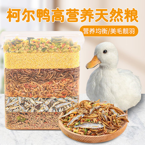 冠之亚鸭子饲料粮食柯尔鸭
