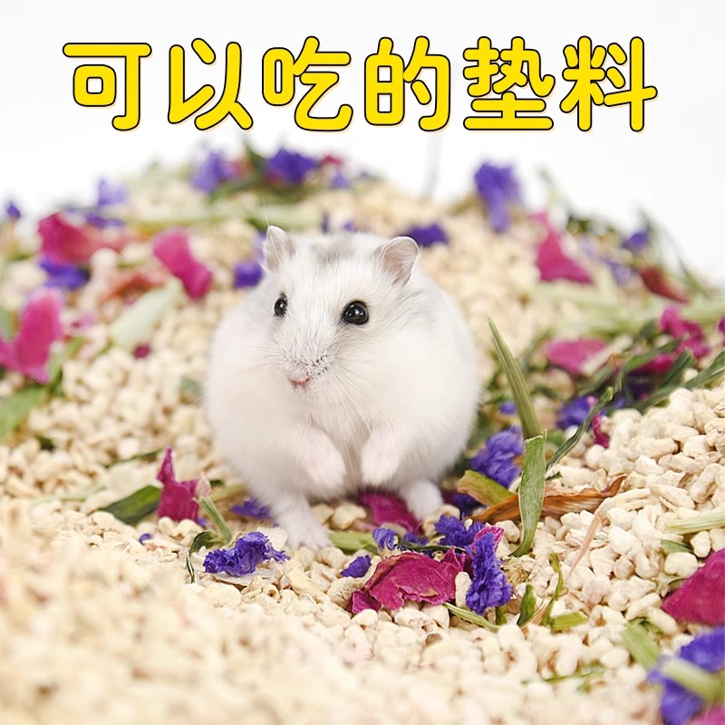 夏天金丝熊玉米芯垫料木屑消暑