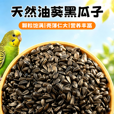 鹦鹉零食黑珍珠油葵小瓜子