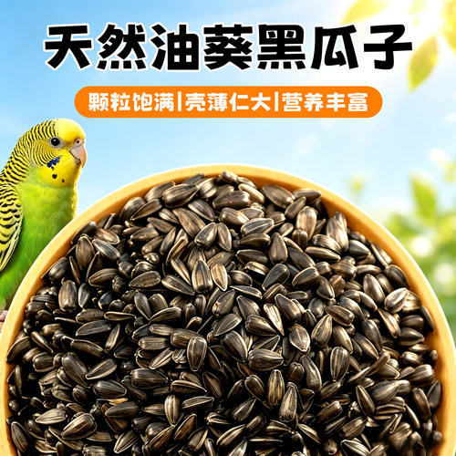 鹦鹉零食黑珍珠油葵小瓜子