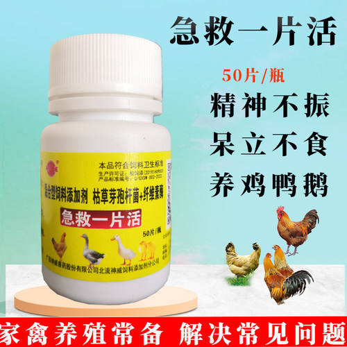 养鸡鸭鹅鸽呼吸道精神不振