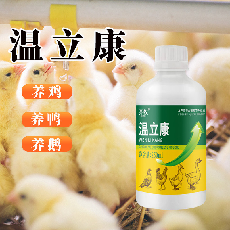 温立康小鸡鸭鹅不食缩头闭眼