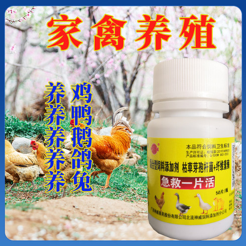禽类急救养殖鸡鸭鹅鸽子通用
