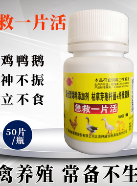 鸡药片 禽类急救 鸡鸭鹅鸽子养殖养鸡通用畜牧添加剂厂家直销正品