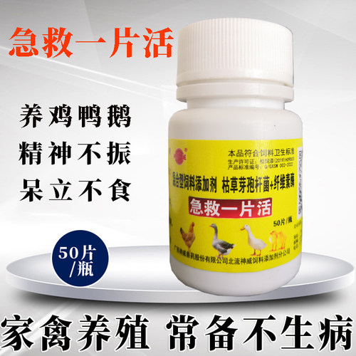 禽类急救养殖鸡鸭鹅鸽子通用