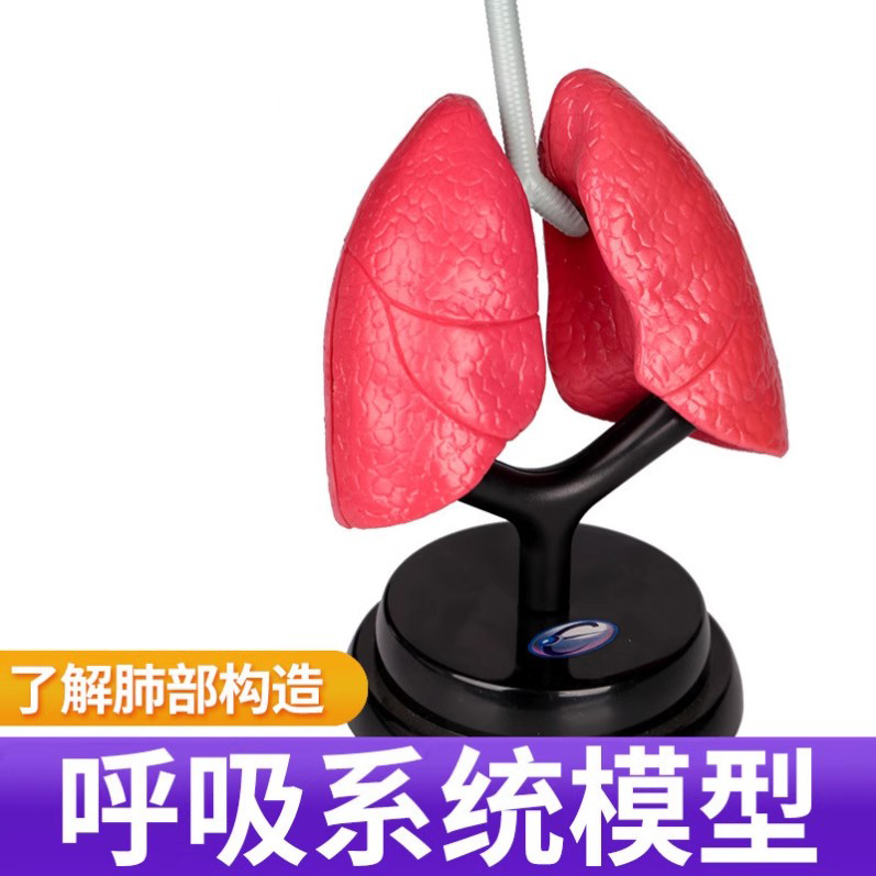 科教验呼吸系统豪华套装