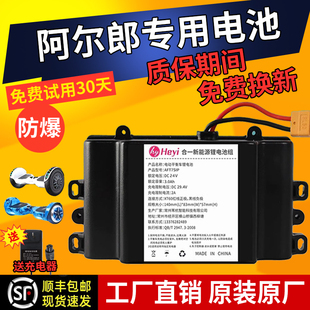 阿尔郎电动平衡车锂电池36v通用安派合一新能源42v电瓶电池组配件