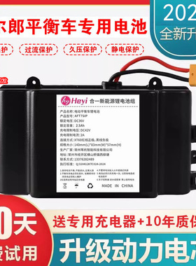 电动平衡车锂电池36v42V适用阿尔郎安派大容量扭扭车电瓶配件合一