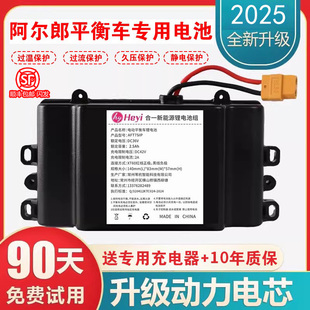 电动平衡车锂电池36v42V适用阿尔郎安派大容量扭扭车电瓶配件合一