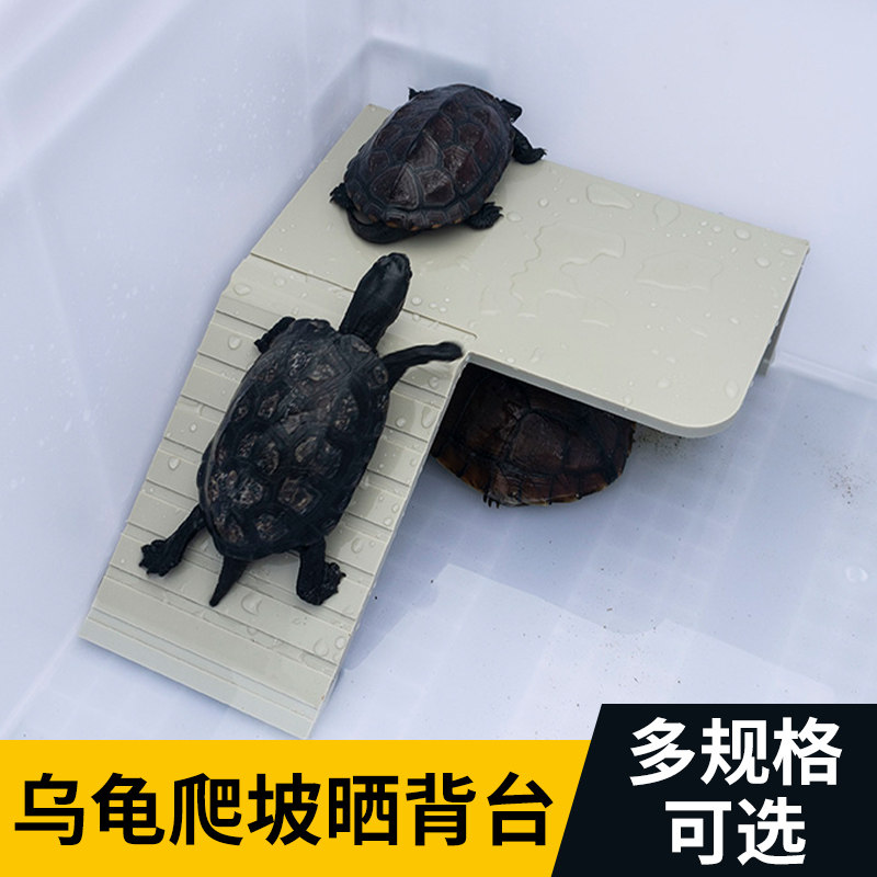 乌龟晒台龟箱爬梯晒台