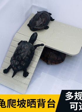 乌龟晒台龟箱爬梯晒背台爬坡休息龟缸造景巴西龟火焰龟草龟躲避台