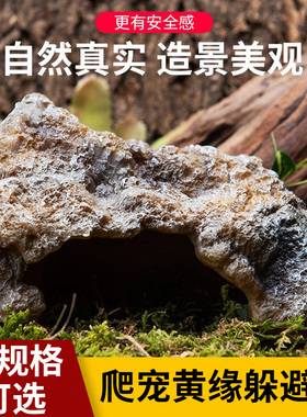 爬宠躲避屋黄缘龟半水龟守宫窝饲养箱环境造景专用仿真乌龟洞穴