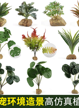 爬宠饲养箱环境造景黄缘龟仿真植物热带雨林荒漠沙漠装饰龟缸绿植