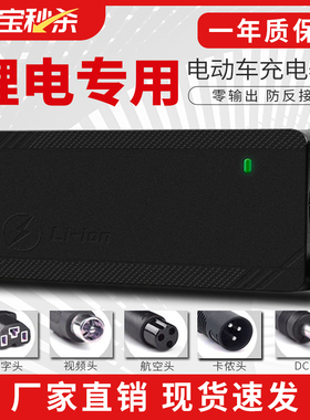 锂电池电瓶充电器48V36V5A10A三元13串锂电池代驾车54.6V 快充