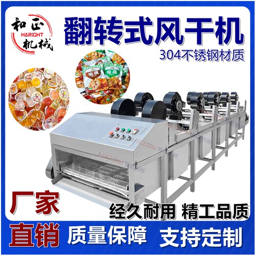 全自动净菜流水线设备 果蔬翻转式风干机 果蔬气泡清洗机