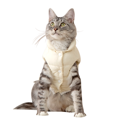 猫咪羽绒服虎斑豹猫冬装加厚棉服