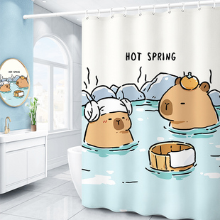 2025新款 加厚垂坠防水浴帘一起洗澡卫生间隔断卧室不透光厕所防霉