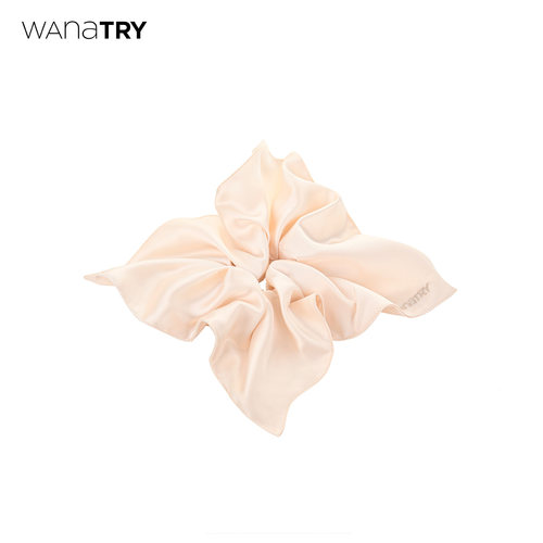 wanatry刺绣logo精致香槟色发圈