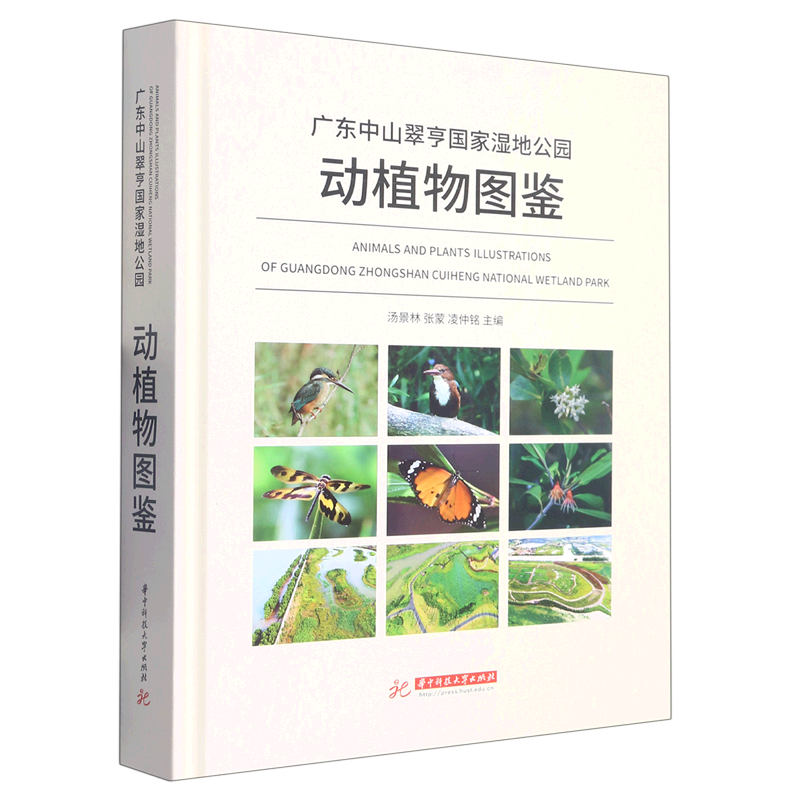 广东中山翠亨国家湿地公园动植物图鉴