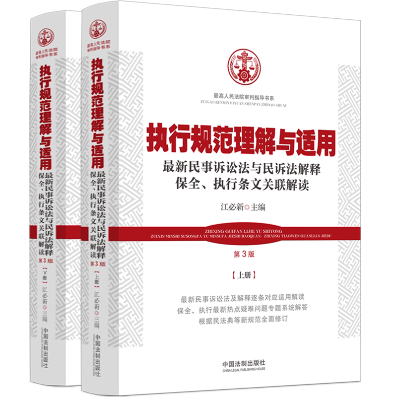 执行规范理解与适用:*民事诉讼法与民诉法解释保全、执行条文关联解读