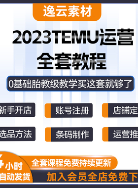 2024跨境拼多多temu电商运营实战课程网店经营推广培训视频教程