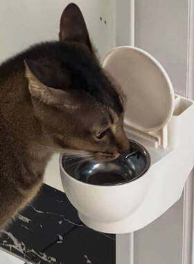 猫咪马桶水碗坐便器饮水机创意宠物骗水神器防打翻壁挂式大口径