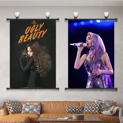 蔡依林海报挂画演唱会应援周边