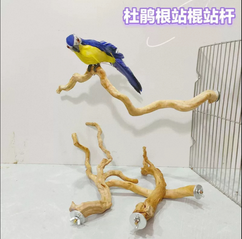 杜鹃根站杆虎皮牡丹玄风鹦鹉啃咬原木站杆八哥鸟笼站棍木站杆站架