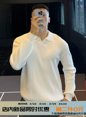 IRONTRAP海鸥领条纹毛衣男内搭针织衫修身纯色polo衫长袖上衣秋冬