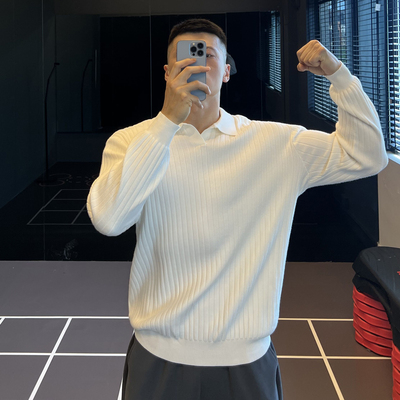 海鸥领条纹毛衣男内搭针织衫修身