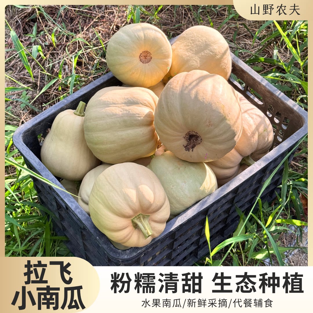 山野农夫拉飞南瓜粉糯清甜新鲜现摘奶油南瓜优选健康时令拉菲南瓜