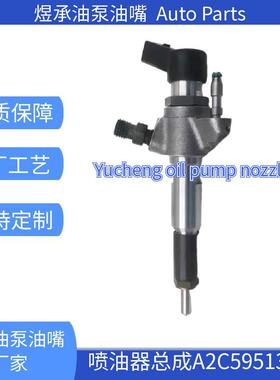 A2C59513556 全新共轨喷油器 5WS40677 9674973080 适用于雪铁龙