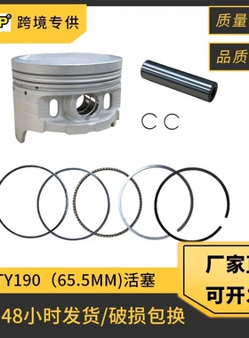 摩托车活塞适用于TYAN TY190 TY200 TY223 TY250 65.5mm 套缸配件