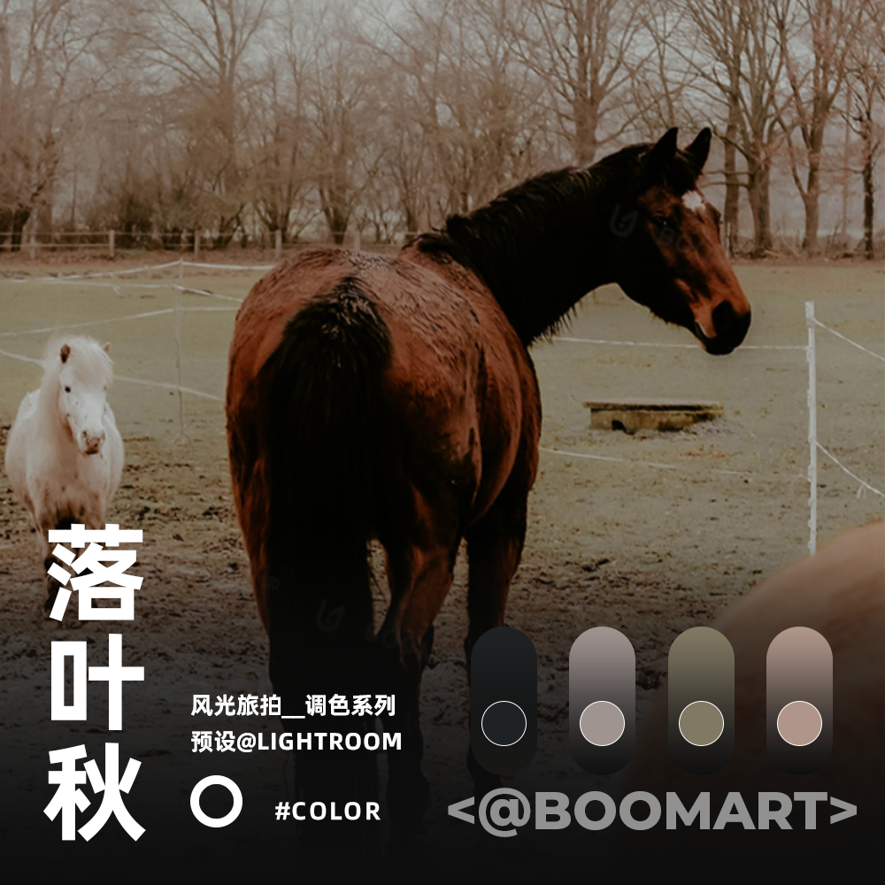 LR预设调色秋日黄色落叶风光旅拍PS滤镜PR视频调色lut达芬奇FCPX