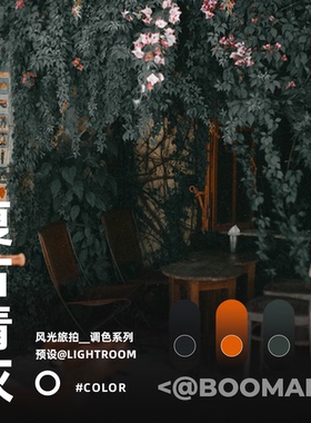 LR预设复古青灰橙色风光旅拍人像胶片PS调色PR滤镜FCPX达芬奇LUT