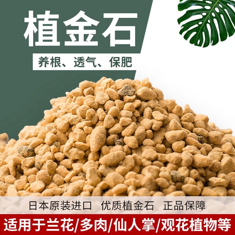 日本火山石蝴蝶兰透气植料营养土