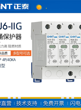 正泰浪涌保护器NU6电源避雷器1P 2P 4P40kA275V 385V防雷电涌开关
