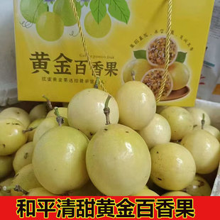 广东河源和平黄金百香果黄晶果新鲜水果现摘整箱纯甜无酸孕妇大果