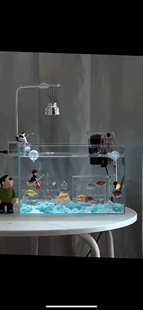 DIY水底世界/婚纱宫殿鱼缸造景微景观泰国斗鱼创意摆件办公装饰
