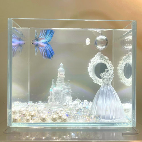 泰国斗鱼鱼缸造景 哈尔滨索菲亚教堂立体大婚纱水晶钻 微景观治愈