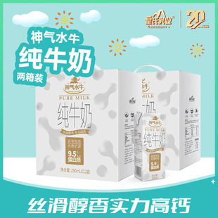 皇氏乳业神气水牛纯牛奶250ml*12盒9.5g蛋白质