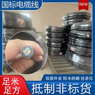 两三芯国标2.5平方防水套管电缆线工地专用电线耐磨透明护套线缆