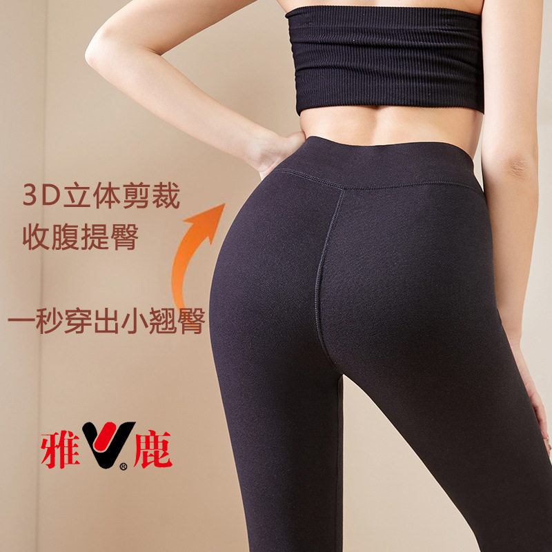 雅鹿女士保暖裤显瘦防风加绒加厚抗寒高腰秋裤加肥加大女打底裤冬