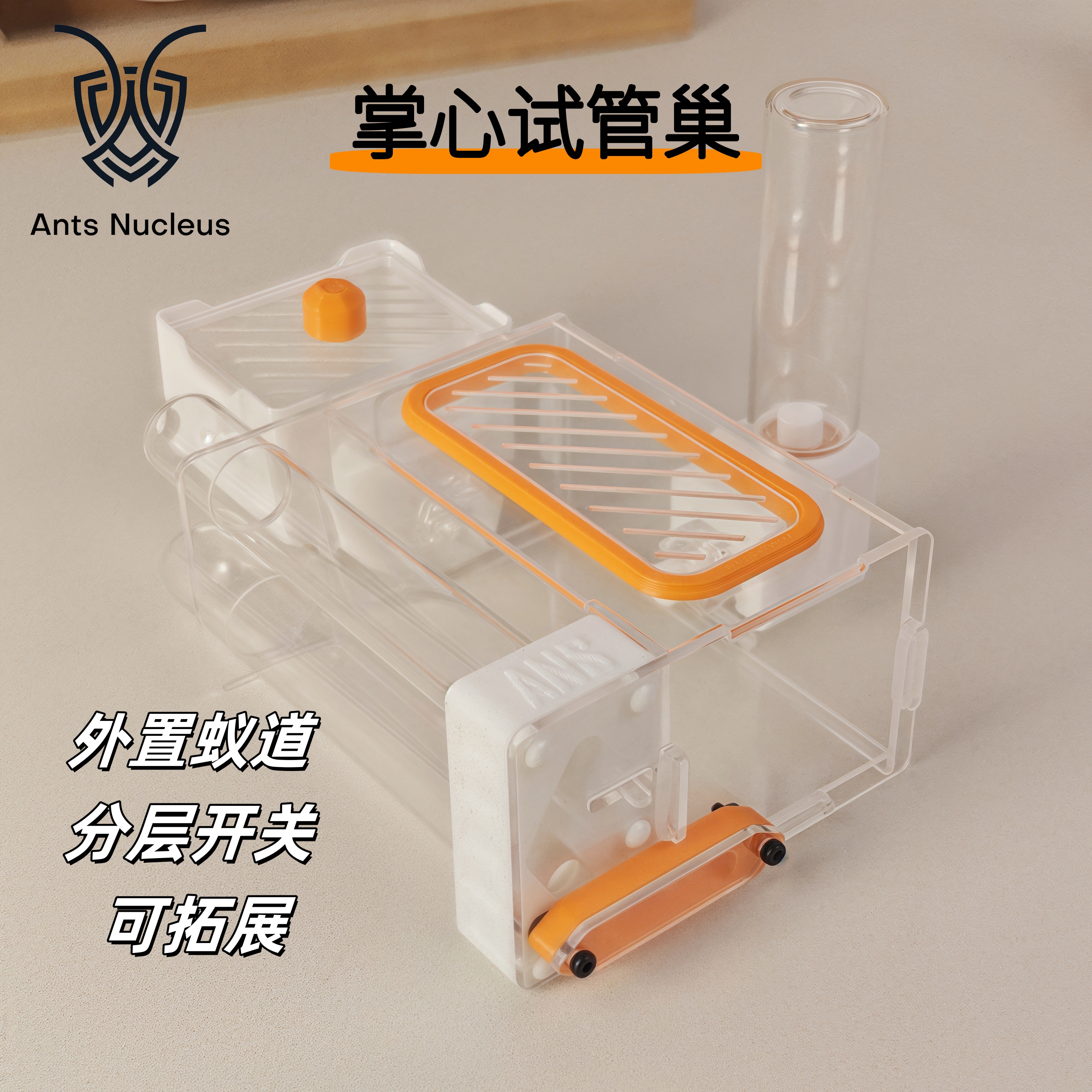 3D打印蚂蚁巢可无限拓展平面巢