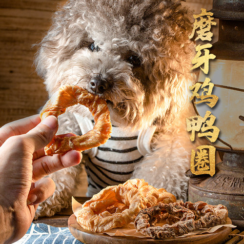 尾巴先生狗狗零食磨牙洁齿肉干