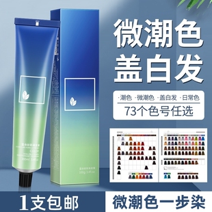 日系微潮色染发膏剂美发廊理发店专用单支批发盖白发自己染植物女