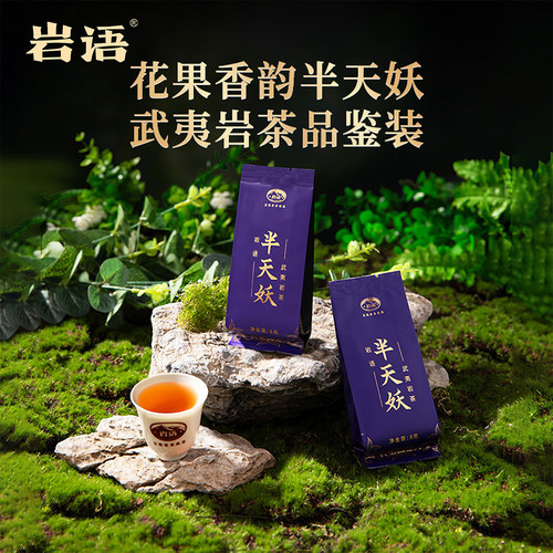 正山堂岩语半天妖茶叶品鉴装16g