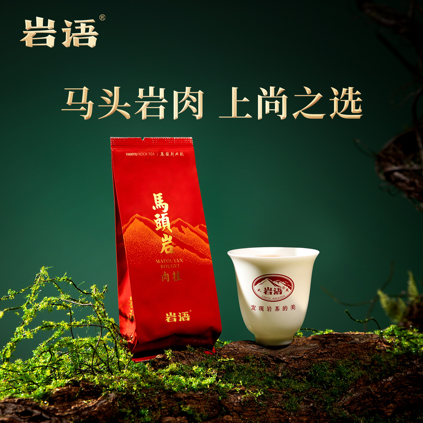 岩语马头岩肉桂品鉴装正岩茶叶